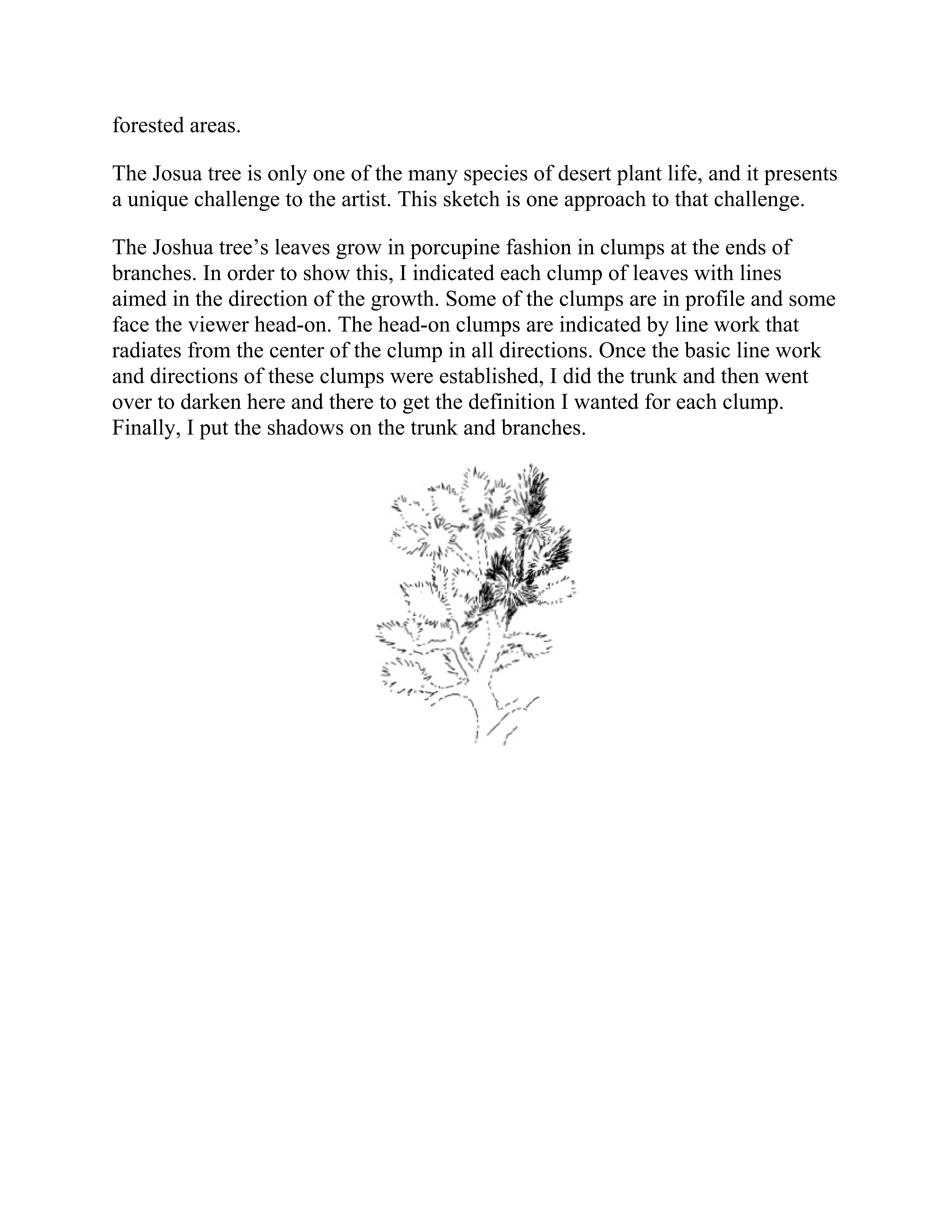 آموزش نقاشی طراحی سیاه قلم شهرری